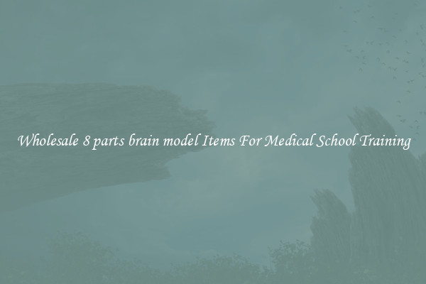 Wholesale 8 parts brain model Items For Medical School Training
