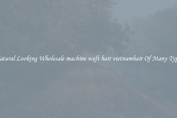 Natural Looking Wholesale machine weft hair vietnamhair Of Many Types