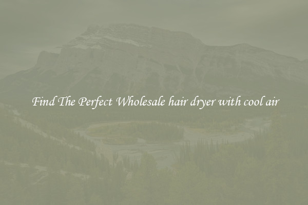 Find The Perfect Wholesale hair dryer with cool air
