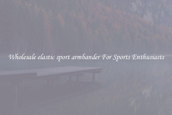 Wholesale elastic sport armbander For Sports Enthusiasts