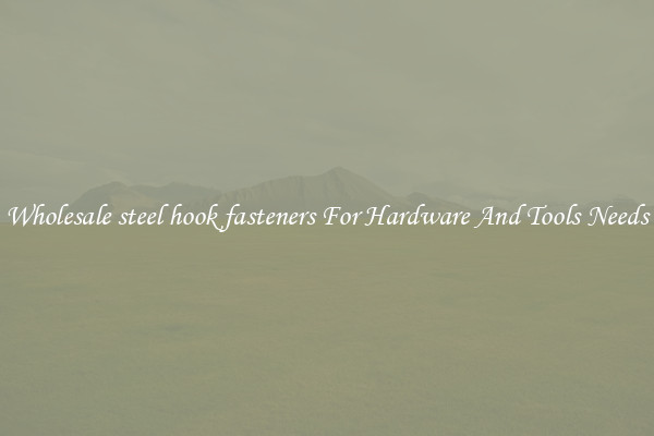 Wholesale steel hook fasteners For Hardware And Tools Needs