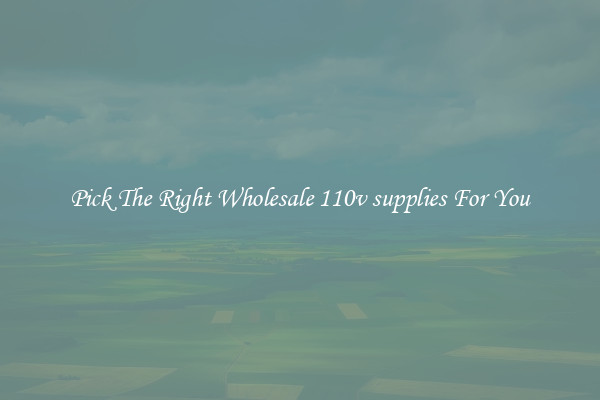 Pick The Right Wholesale 110v supplies For You