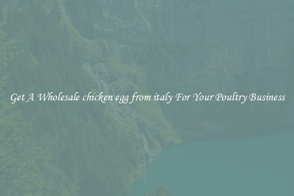 Get A Wholesale chicken egg from italy For Your Poultry Business