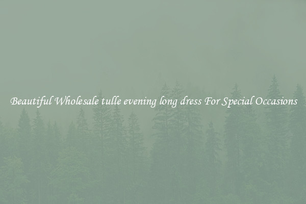 Beautiful Wholesale tulle evening long dress For Special Occasions