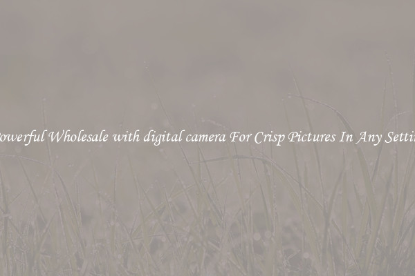 Powerful Wholesale with digital camera For Crisp Pictures In Any Setting