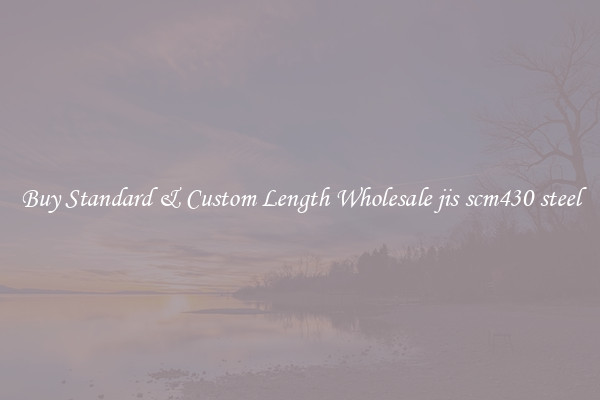 Buy Standard & Custom Length Wholesale jis scm430 steel