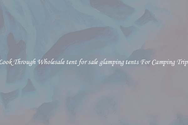 Look Through Wholesale tent for sale glamping tents For Camping Trips