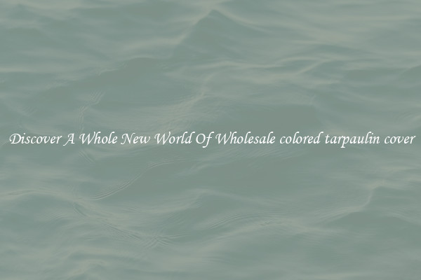 Discover A Whole New World Of Wholesale colored tarpaulin cover