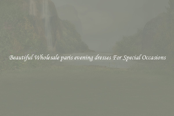 Beautiful Wholesale paris evening dresses For Special Occasions