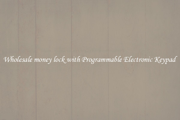 Wholesale money lock with Programmable Electronic Keypad 
