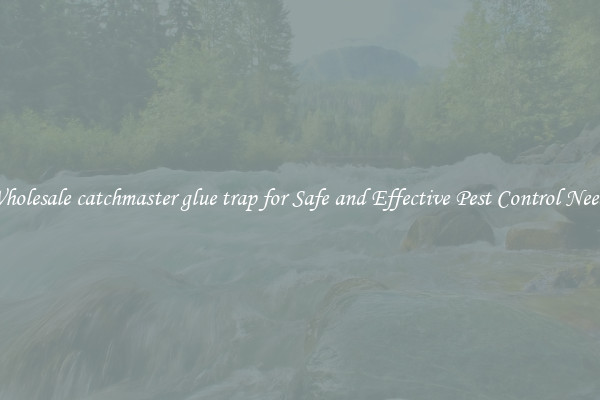 Wholesale catchmaster glue trap for Safe and Effective Pest Control Needs