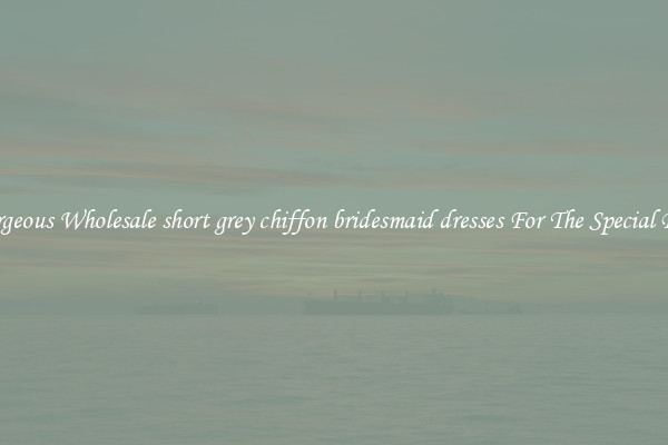 Gorgeous Wholesale short grey chiffon bridesmaid dresses For The Special Day