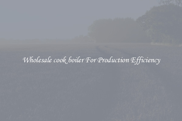 Wholesale cook boiler For Production Efficiency