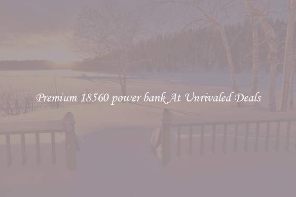 Premium 18560 power bank At Unrivaled Deals