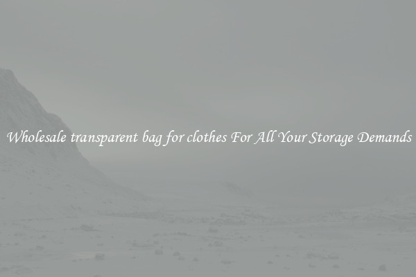 Wholesale transparent bag for clothes For All Your Storage Demands