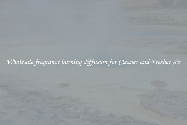 Wholesale fragrance burning diffusion for Cleaner and Fresher Air