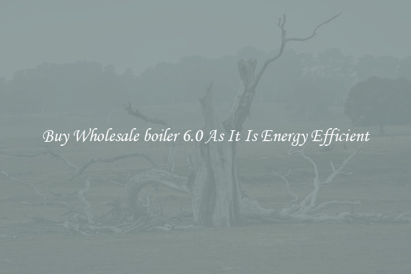 Buy Wholesale boiler 6.0 As It Is Energy Efficient
