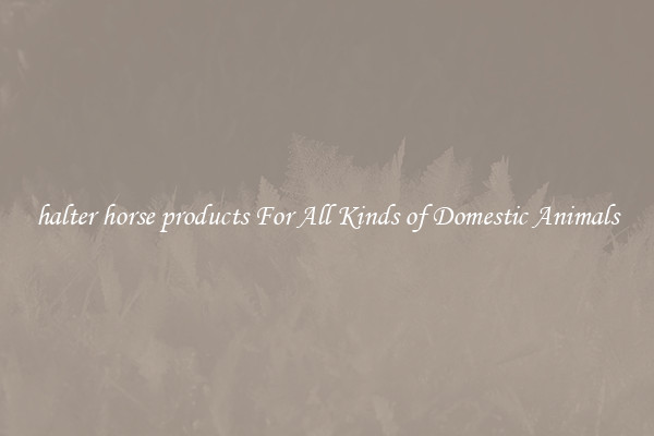 halter horse products For All Kinds of Domestic Animals