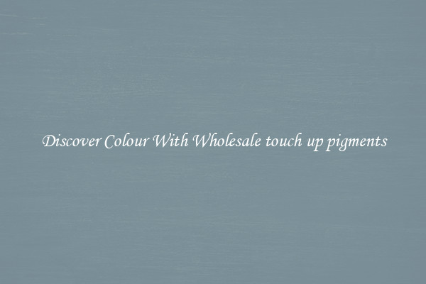 Discover Colour With Wholesale touch up pigments