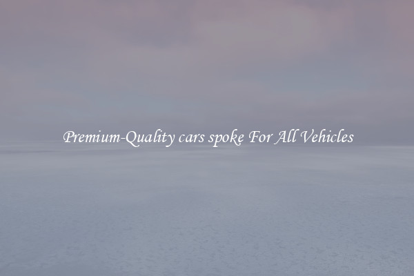 Premium-Quality cars spoke For All Vehicles