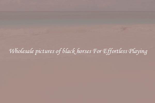 Wholesale pictures of black horses For Effortless Playing